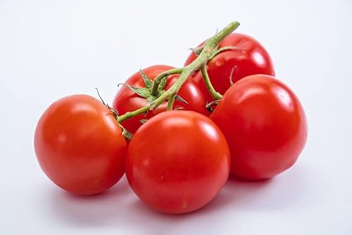 Miniatura 5 de Semillas de tomate cereza roja grandes para plantar, más de 500 semillas tradicionales por paquete, semillas de jardín de Isla (semillas de jardín
