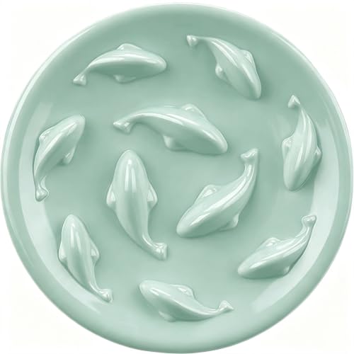 Slow Feeder Bowl for Cats and Small Dogs,Cilkus...