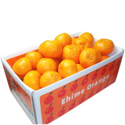 株式会社国安青果 愛媛産ポンカン 訳あり/大きさ不揃い・見た目チョイ傷