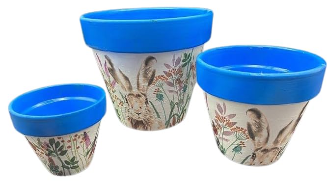 DECOUPAGED Flower Planter, Decorated PLANT POT Planter, Garden Gift, Dad Present, House Gift, Hare, Bee, Giraffe, Birds (Large, Hare)