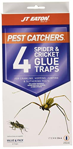 JT Eaton 844 Pest Catchers Large Spider and Cricket Size Attractant Scented Glue Trap, 16 Traps
