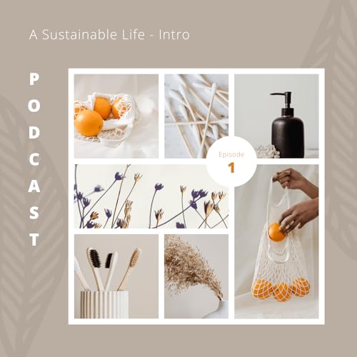 Episode 1 &ndash; What is this podcast about?