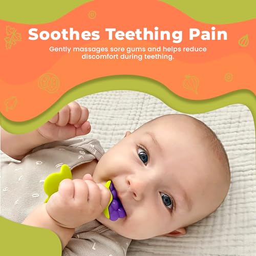 Image of Safe-O-Kid BPA-Free Organic Silicone Fruit Teether | Soft, Non-Toxic Teething Relief for Infants & Toddlers | Food-Grade, Multicolor for 0-12 Months
