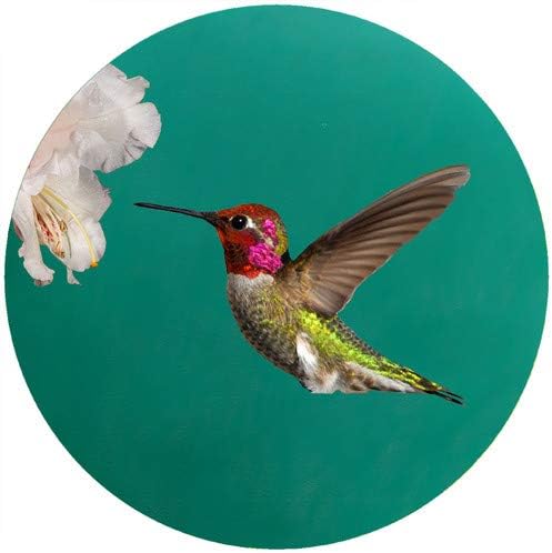 Andreas JO-CAH Custom Annas Hummingbird Jar Opener - 3 Pack