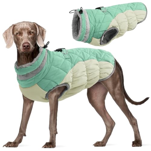 Kuoser Winter Hundejacke für mittelgroße Hunde – Wasserdichter & Winddichter Hundemantel mit Fleecefutter, Reißverschluss, D-Ring & Reflektoren – Warme Outdoor Hundebekleidung für Herbst & Winter, L