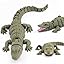 Alligator