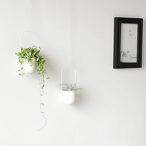 Roomnhome Indoor Floating Planter With Plastic Pot Holder 19'' Length Adjustable Ring Chain, White Powder Coated Iron Frame Hanging Planter (Ellipse 2Pot/White) #TOP3