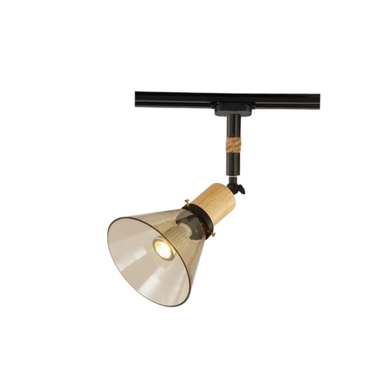 Lumière de plafond en fer forgé élégante avec diffuseur en verre torsadé