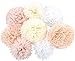 aoory Pompons Papier Blanc, Rose, Abricot, Champagne, Fleur en Papier de Soie pour Décoration de fête, Anniversaire, Mariage, Noël, 30cm, 40cm (8 Set)