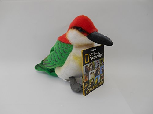 iViWIOtBbN ʂ `KVn`NC̐Ԃ 770794D