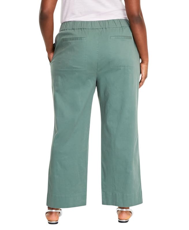 Women's Trendy Plus Size Pull-On Chino Pants (New Pale Sage, 3X)2