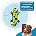 Outward Hound Durablez Large Gecko Stuffing-Free Squeaky Plush Dog Toy for Puppies & Dogs - Interactive, Soft Yet Tough, No Mess, Jumbo Squeaker, Long-Lasting Play, 17.5 inch, Multicolor