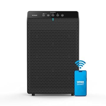 best air purifier for farts