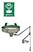 Haws 7433FP Wall Mounted Freeze-Resistant Eyewash with Soft-Flo Heads