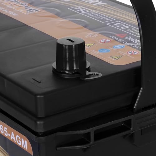 Weize Platinum AGM Group 65 Battery
