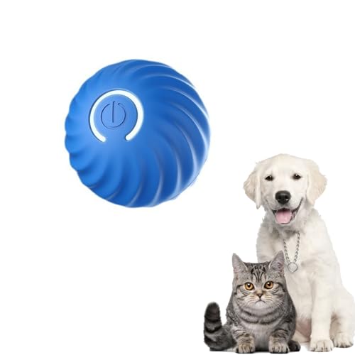 {[u[d{[̒eރ{[USB[d]Ԓ^̉^s΍XgXϋvSybgpilV ()