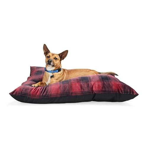 EveryYay by Petco Essentials Pillow Dog Bed 38