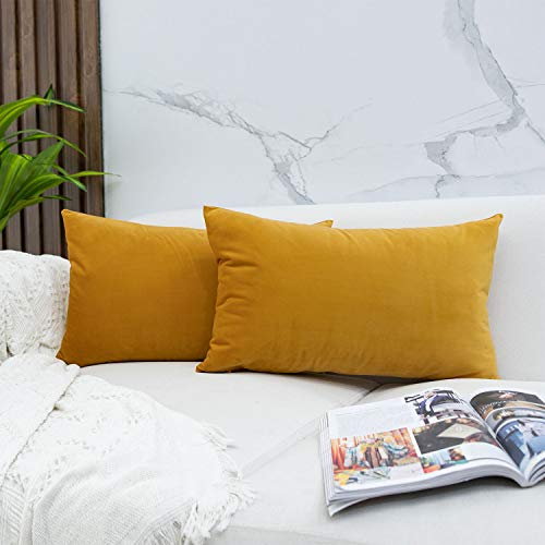 JUSPURBET Gold Decorative Lumbar Velvet Throw Pillow Covers 12x20,Pack of 2 Luxury Soft Solid Cushion Cases for Sofa Couch Bed