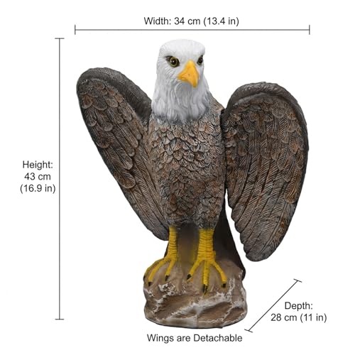 Ahuyentador de pájaros definitivo contra suciedad en jardín usando estatua de águila de 17 pulgadas 6