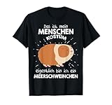 Schaue meine anderen Meerschweinchen Angebote an