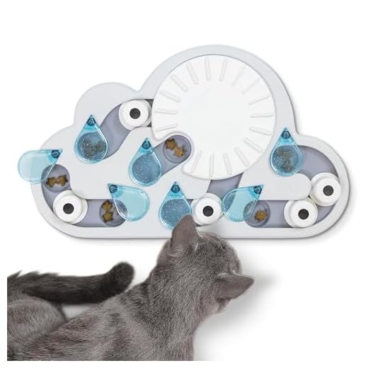 Petstages Nina Ottosson Rainy Day Puzzle & Play - Interactief intelligentie/snackspeeltje voor katten