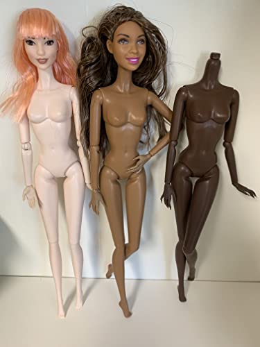Diy Ooak Doll Bodies For Replacement 12 Inch Fashion Doll Body Supermodel Collector Doll Making Body Articulated Jointed Posable Doll Repair White Supermodel (1) #TOP4