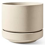 LE TAUCI – LE TAUCI Keramik Blumentopf Groß 35 cm mit Untersetzer, Groß