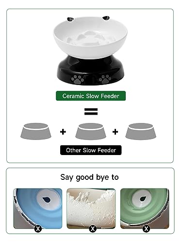 Y YHY Slow Feeder, Elevated Food Bowl Tilted Design for Dog and Cat for Dry and Wet Food - Image 5