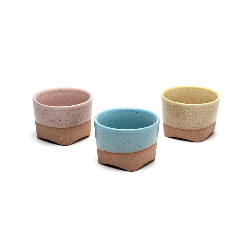 VIRUL Taza de té de cerámica 80ml Estilo japonés Kung fu Vasos de cerámica Taza de té Juego de Tazas para té