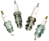 Spark Plugs - w14 champion spark plug [Set of 8]