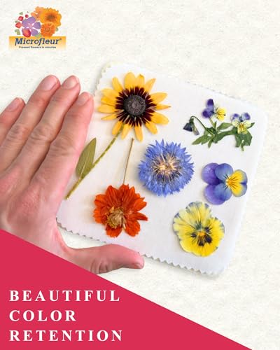 Microfleur Microwave Flower Art Press Kit for Kids and Adults - DIY with Washable Absorbent Cloth, Ideal for Plant Lovers 5" (13 cm)