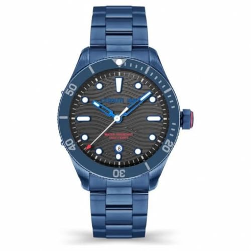 Image of Cerruti Cedonio with Quartz Three Hands Date (Hour, Minute, Seccond & Date) Grey Dial Blue Stainless Steel Strap Watch for Men - CECIWGH2113704W