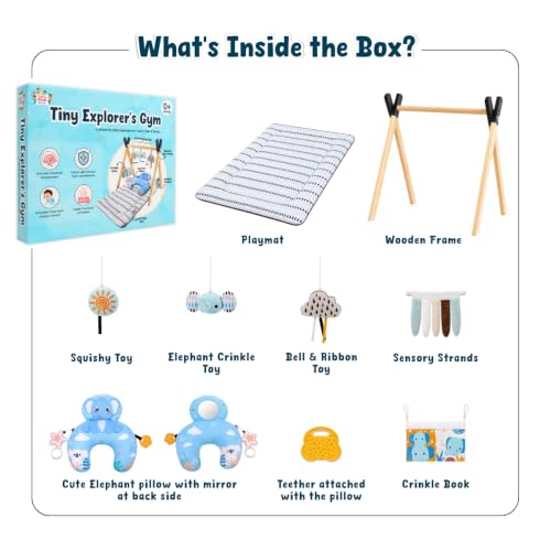 Image of Tiny Explorer's Play Gym by Little Minds at Work | Baby Play Mat for 0 to 2 Years | Sensory Play & Motor Skill Development for Babies | Crinkle Toys, High-Contrast Cards | Soft & Baby-Safe Materials