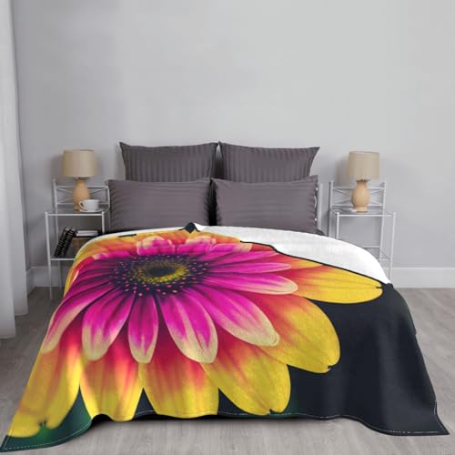 Couverture polaire flanelle douce plaid lit canapé toutes saisons imprimé