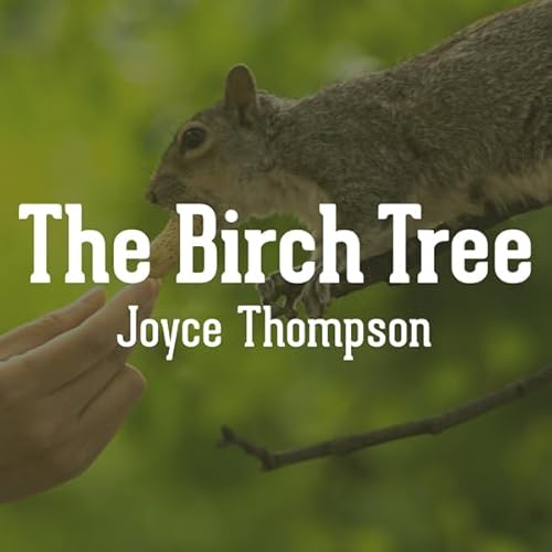 The Birch Tree cover art