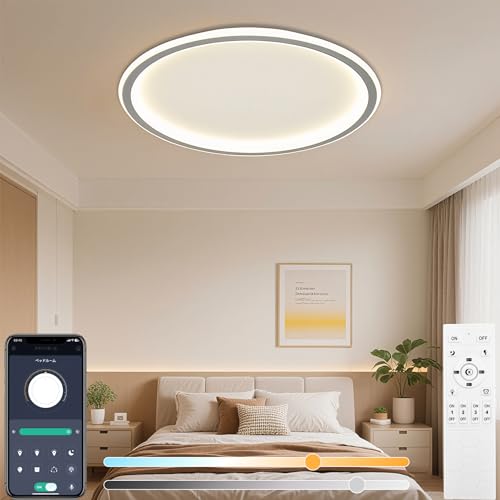 DEMILA シーリングライト led おしゃれ 北欧 モダン 6畳 8畳 10畳 12畳 リモコン付 引っ掛け インテリア 間接 照明 天井 和室 リビング 寝室 タイマー 工事不要 日本語説明書付(グレー・直径60cm)