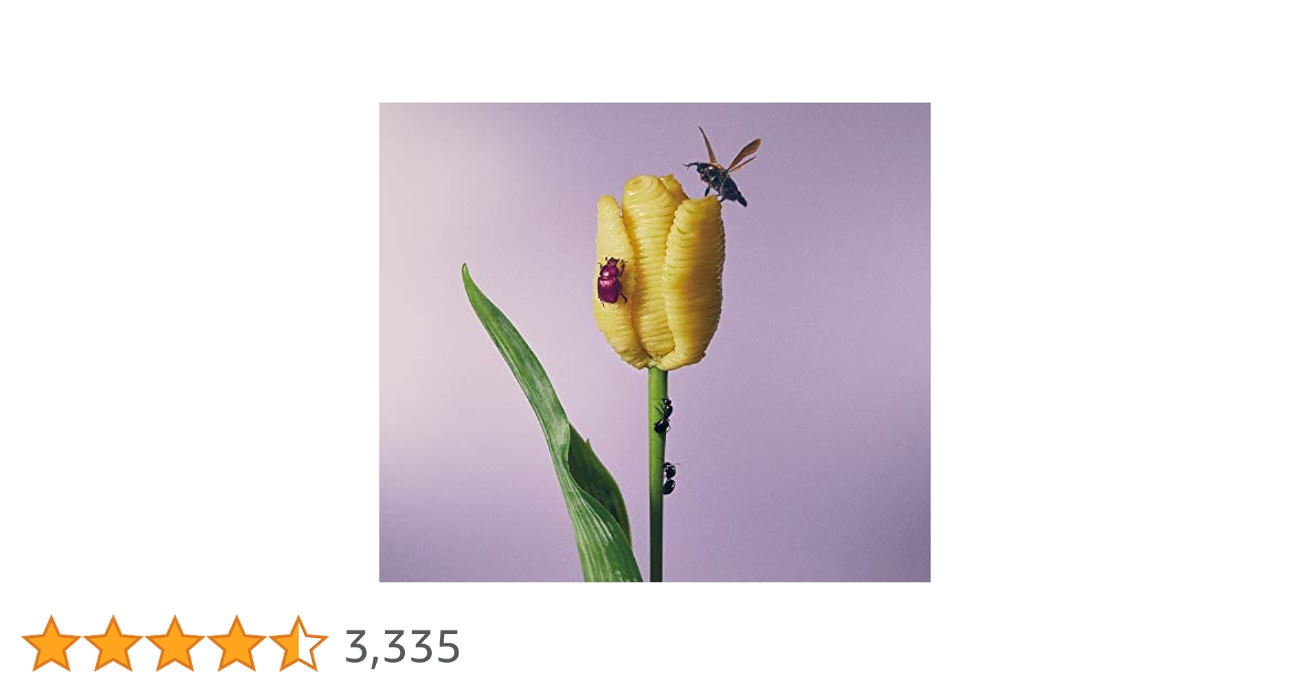 41WbToKFFvL.jpg_BO30,255,255,