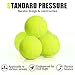 MRYCZ FYRHD Training Tennis Balls – 12 Pack Practice Balls with Mesh Bag, Great for Beginners & Dogs, Bulk Tennis Balls for Training & Play