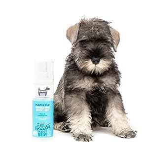 hownd Playful Pup Refreshing Body Mist For Puppies/Adult Dogs With Sensitive Skin - Rose & Lemongrass - Refreshes, Hydrates, Detangles & Reduces Shedding - Cruelty Free, Vegan - 8.45oz hownd Playful Pup Refreshing Body Mist For Puppies/Adult Dogs With Sensitive Skin – Rose & Lemongrass – Refreshes, Hydrates, Detangles & Reduces Shedding – Cruelty Free, Vegan – 8.45oz