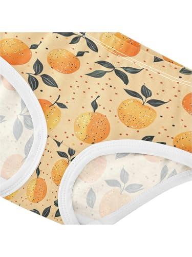 ZZKKO Orange and Polka Dots Girls Underwear Toddler Panties for Girls Comfort Brief Size 2-8T4