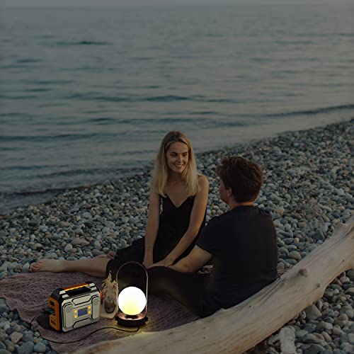 Portable Power Station 300W,Zerokor Outdoor Portable Power Pack 280Wh/75000Mah,Lithium Battery Backup Power Source With Flashlight,Portable Generator With Dc Ac Outlet For Home Use Camping Rv Travel #TOP4