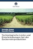 Technologische Lücke und Einschränkungen bei der Zuckerrohrproduktion