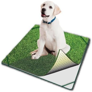 pooch pads amazon