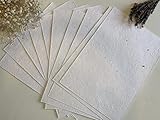 25 x A5 Plantable Seed Paper/Card - Print at Home Craft Paper with Wildflower Seed Mix