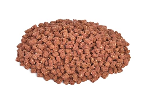 Kaureks Natur Hundeleckerlies, Hundesnack Insekten 1000g für alle Hunde, Traningssnack, Dog Snack