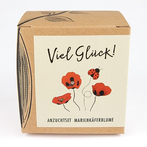 Geschenk-Anzuchtset MARIENKÄFERBLUME mit Samen des Marienkäfermohns, eine Glücksbringer-Geschenkidee aus dem NATURKRAFTWERK