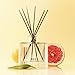 NEST New York Reed Diffuser, Grapefruit - 5.9 fl oz - Fragrance for Up to 90 Days - Reusable, Refillable Glass Holder - Includes 8 All-Natural Reed Sticks - Flame Free