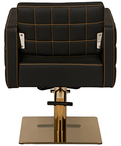 Buy-Rite Zara Styling Chair For Professional Hair Stylists, Beauty Salons And Barbers, Gold Stitching, Flat Square Gold Base, Gold Footrest And Gold Foot Pedal, Ylg-192-Gold #TOP3