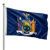 DMSE New York State Flag, 3ft x 5ft - Vivid Colors & Crisp Seal Details - Lightweight 100D Polyester with Quad-Stitched Edges (3ft x 5ft)