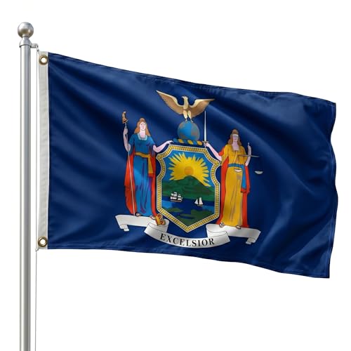 DMSE New York State Flag, 2ft x 3ft - Vivid Colors & Crisp Seal Details - Lightweight 100D Polyester with Quad-Stitched Edges (2ft x 3ft)